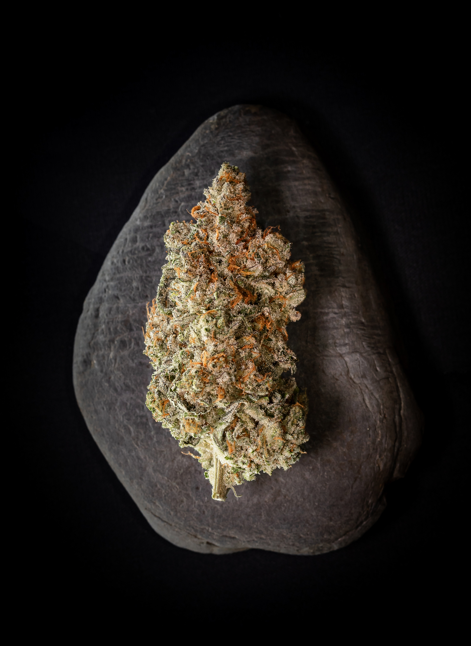 SWEETGRASS MENDOZ STOMPER 3.5G – Fiddler's Green Cannabis Co.